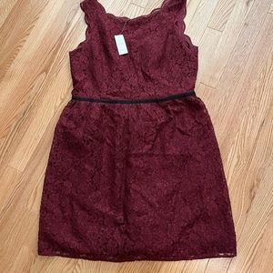 NWT Ann Taylor LOFT Lace Scalloped sleeveless dress with black trim size 12P